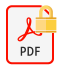 Adobe PDF File icon with lock in the top right corner